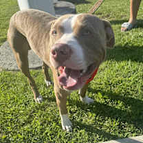 Thumbnail photo of Bubba #3