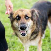 Thumbnail photo of Kiara #3