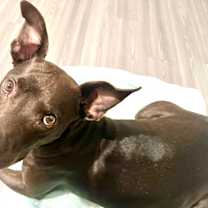 Thumbnail photo of Edie #4