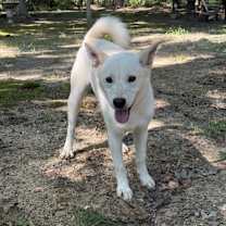 Thumbnail photo of James #1