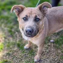 Thumbnail photo of Terry #3