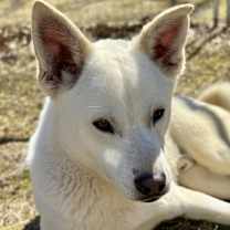 Thumbnail photo of James #2