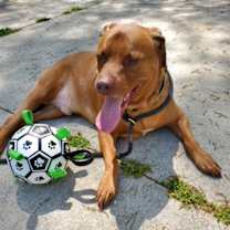 Thumbnail photo of Drake #2