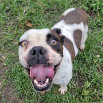 Thumbnail photo of Angelina #1