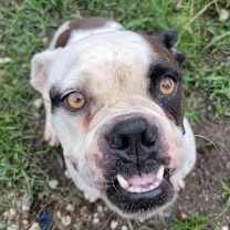 Thumbnail photo of Angelina #2