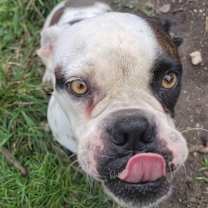 Thumbnail photo of Angelina #4