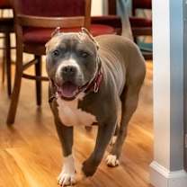 Thumbnail photo of Miller #1