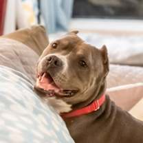 Thumbnail photo of Miller #2