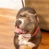 Thumbnail photo of Miller #3