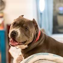 Thumbnail photo of Miller #4