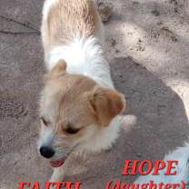 Thumbnail photo of Faith and Hope #1