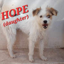 Thumbnail photo of Faith and Hope #3