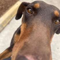 Thumbnail photo of Alli #2