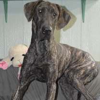 Thumbnail photo of Walker #2