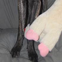 Thumbnail photo of Walker #4