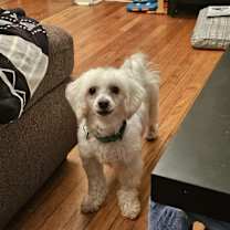 Thumbnail photo of Sylvester Stallone #1