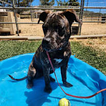 Thumbnail photo of Kennedy #2