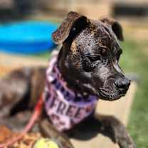 Thumbnail photo of Kennedy #4
