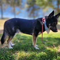 Thumbnail photo of Prince #4