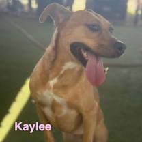 Thumbnail photo of Kaylee #1