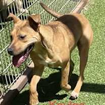 Thumbnail photo of Kaylee #2