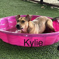 Thumbnail photo of Kaylee #3