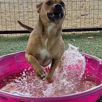 Thumbnail photo of Kaylee #4