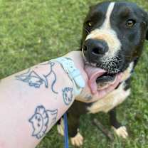 Thumbnail photo of Jack #2