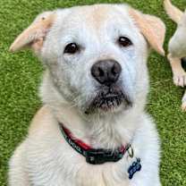 Thumbnail photo of Bubba #1