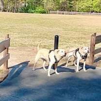 Thumbnail photo of Bubba #2