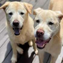 Thumbnail photo of Bubba #3