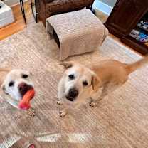 Thumbnail photo of Bubba #4