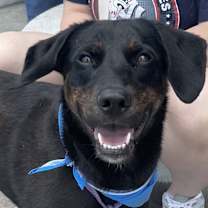 Thumbnail photo of Everly #3