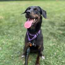 Thumbnail photo of Everly #4