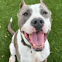 Thumbnail photo of Rubble #1