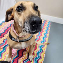 Thumbnail photo of Loretta Jane #3