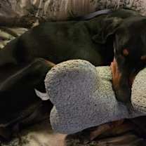 Thumbnail photo of Raine #2