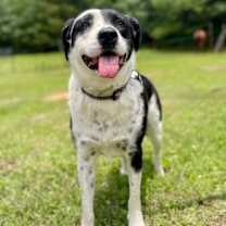 Thumbnail photo of Lady #1