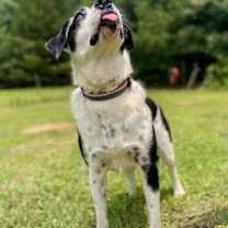 Thumbnail photo of Lady #2