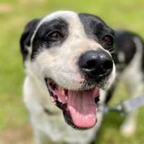 Thumbnail photo of Lady #3