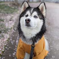 Thumbnail photo of Riley-Courtesy Listing #2