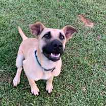 Thumbnail photo of Daisy #3