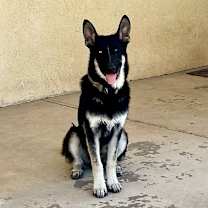 Thumbnail photo of Sloan #4