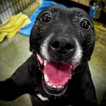 Thumbnail photo of Mercedes #2