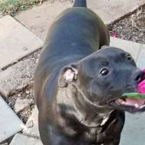 Thumbnail photo of Mercedes #4