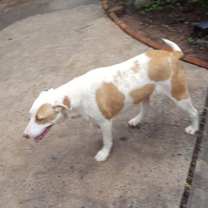 Thumbnail photo of Holly #2