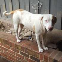 Thumbnail photo of Holly #4