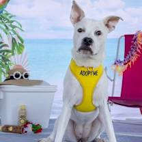 Thumbnail photo of Noelle #2