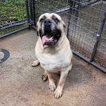 Thumbnail photo of ZOR #2