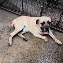 Thumbnail photo of ZOR #3